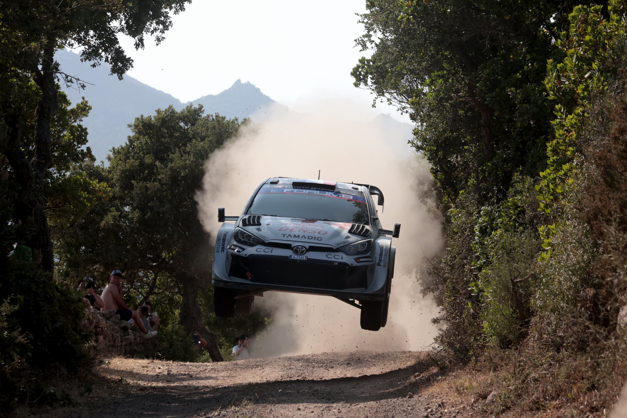 Ogier siegt in Sardinien