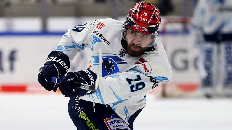 Die Situation der vier neuen Deutschen in der NHL