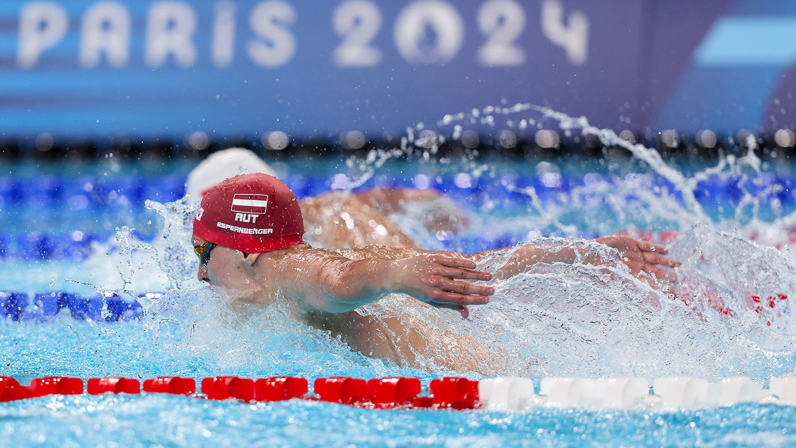 Auf den Spuren der Giganten