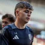 Vom WAC und Lafnitz: Hertha Wels vermeldet Transfer-Hattrick