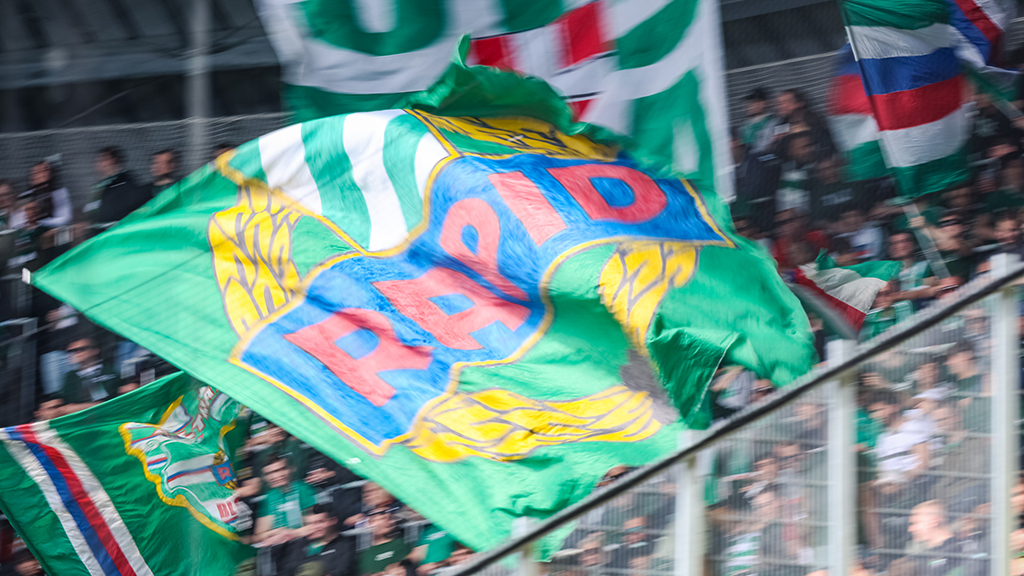 Rapid-Frauen steigen in die 2. Bundesliga auf