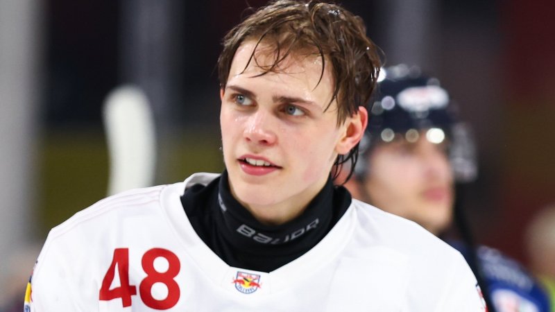 Alle Österreicher, die im NHL-Draft gepickt wurden