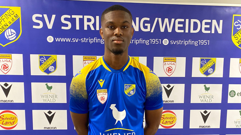 Stripfing holt großgewachsenen Angreifer aus Frankreich