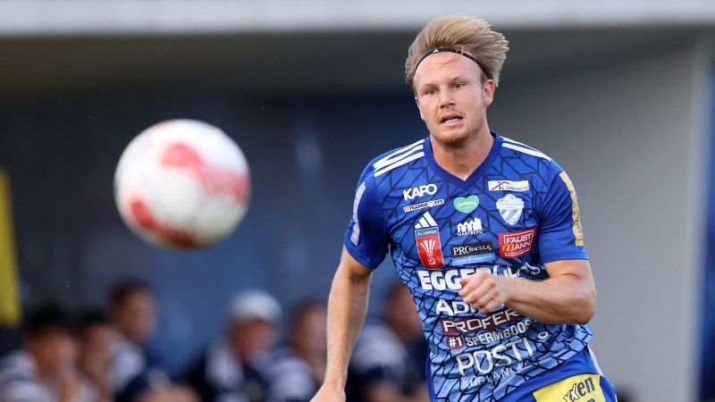 Zweitligist Admira bedient sich beim SK Rapid