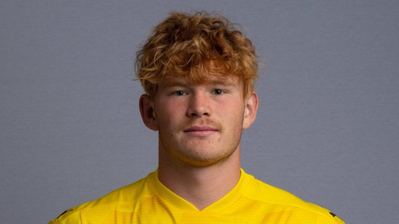 Stripfing holt doppelte Verstärkung von den Young Violets