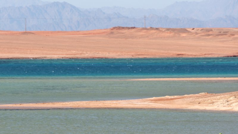 So krempeln die Saudi-Milliarden die Sportwelt um