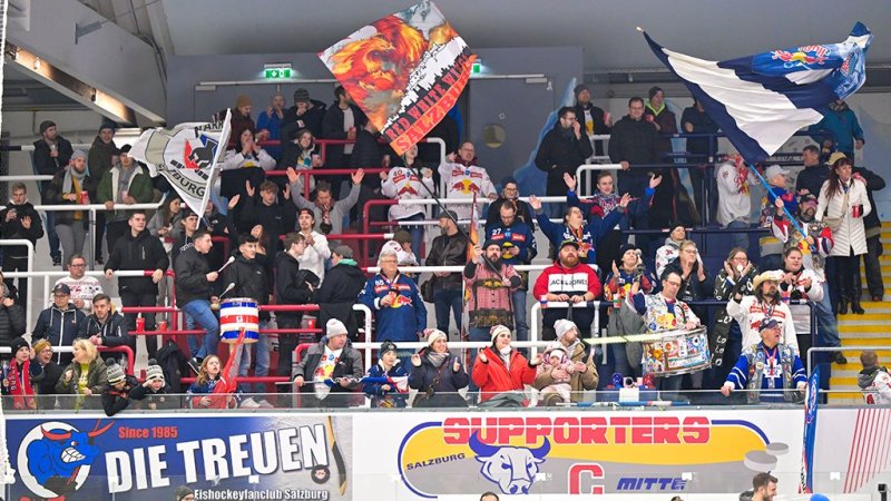 Die Zuschauer-Magnete der ICE Hockey League