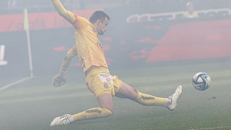 Die Dauerbrenner der Bundesliga