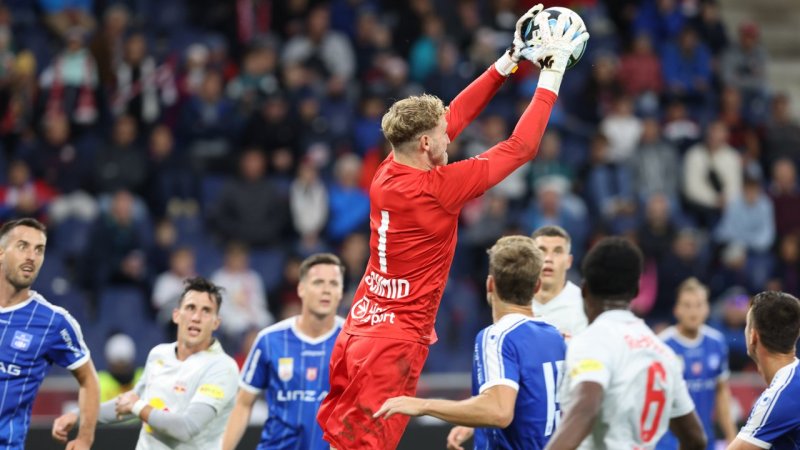 Die Dauerbrenner der Bundesliga