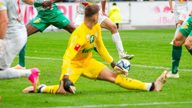 Die Dauerbrenner der Bundesliga