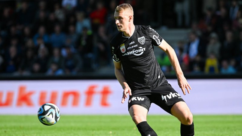 Die Dauerbrenner der Bundesliga