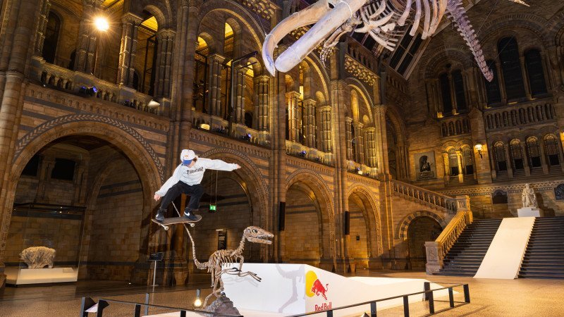 Naturgeschichte meets Trendsport - Skate-Bilder im Museum