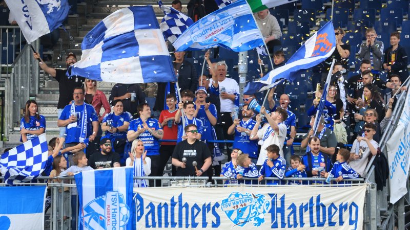 Auswertung ergibt: Salzburg hat die meisten Fans der Liga