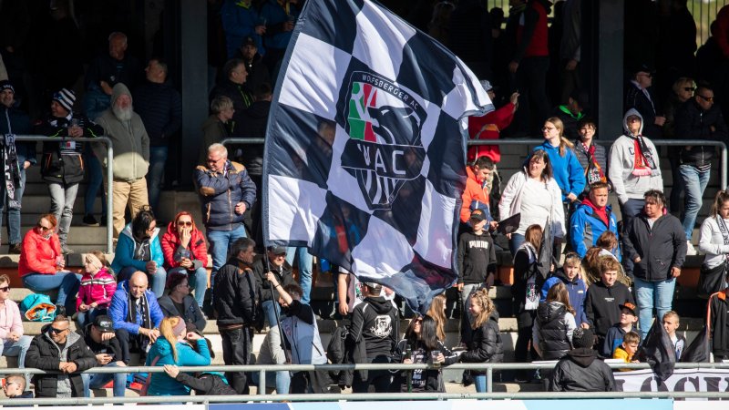 Auswertung ergibt: Salzburg hat die meisten Fans der Liga