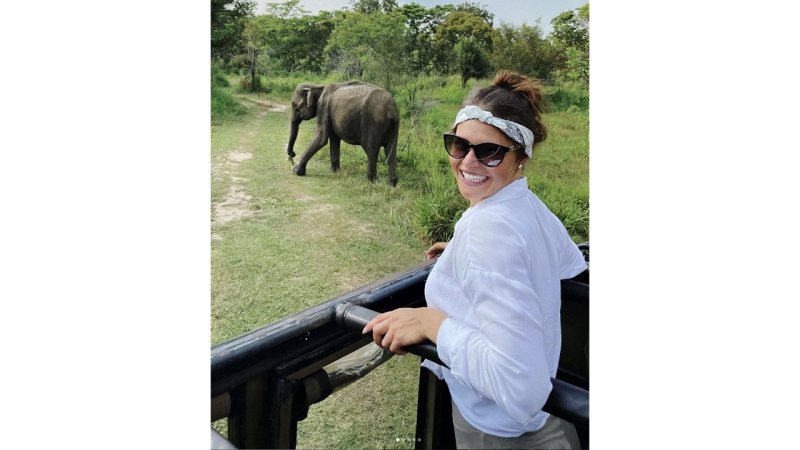 Der Sommer der Ski-Stars