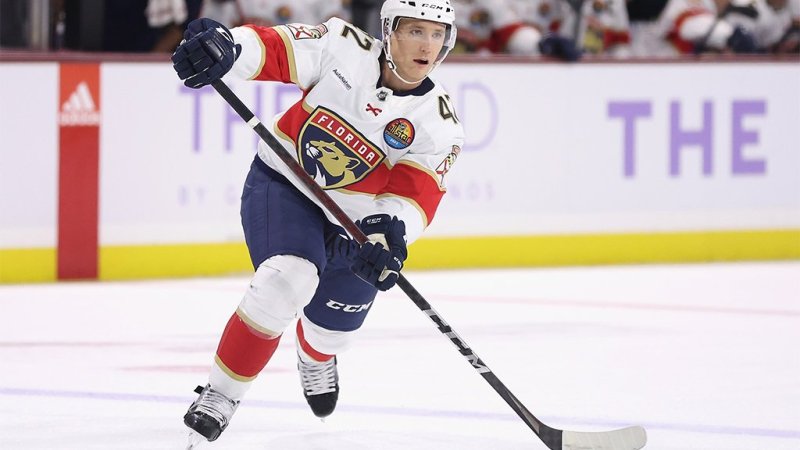 Das sind die Stars der Stanley-Cup-Finalisten