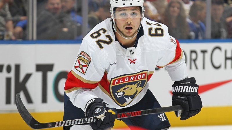 Das sind die Stars der Stanley-Cup-Finalisten