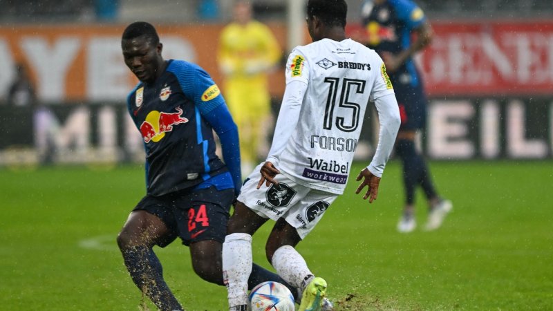 FC Red Bull Salzburg: Das Meister-Zeugnis für alle "Bullen"