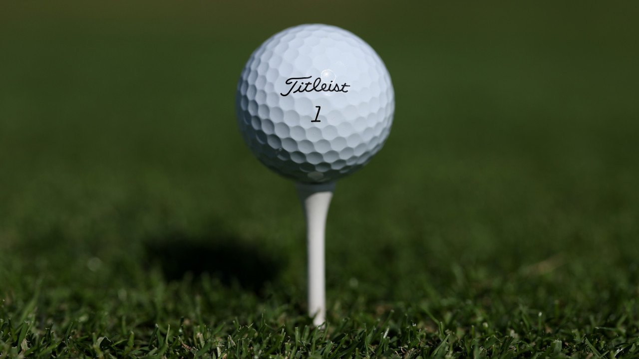 Bärensichtung verhindert Golfturnier