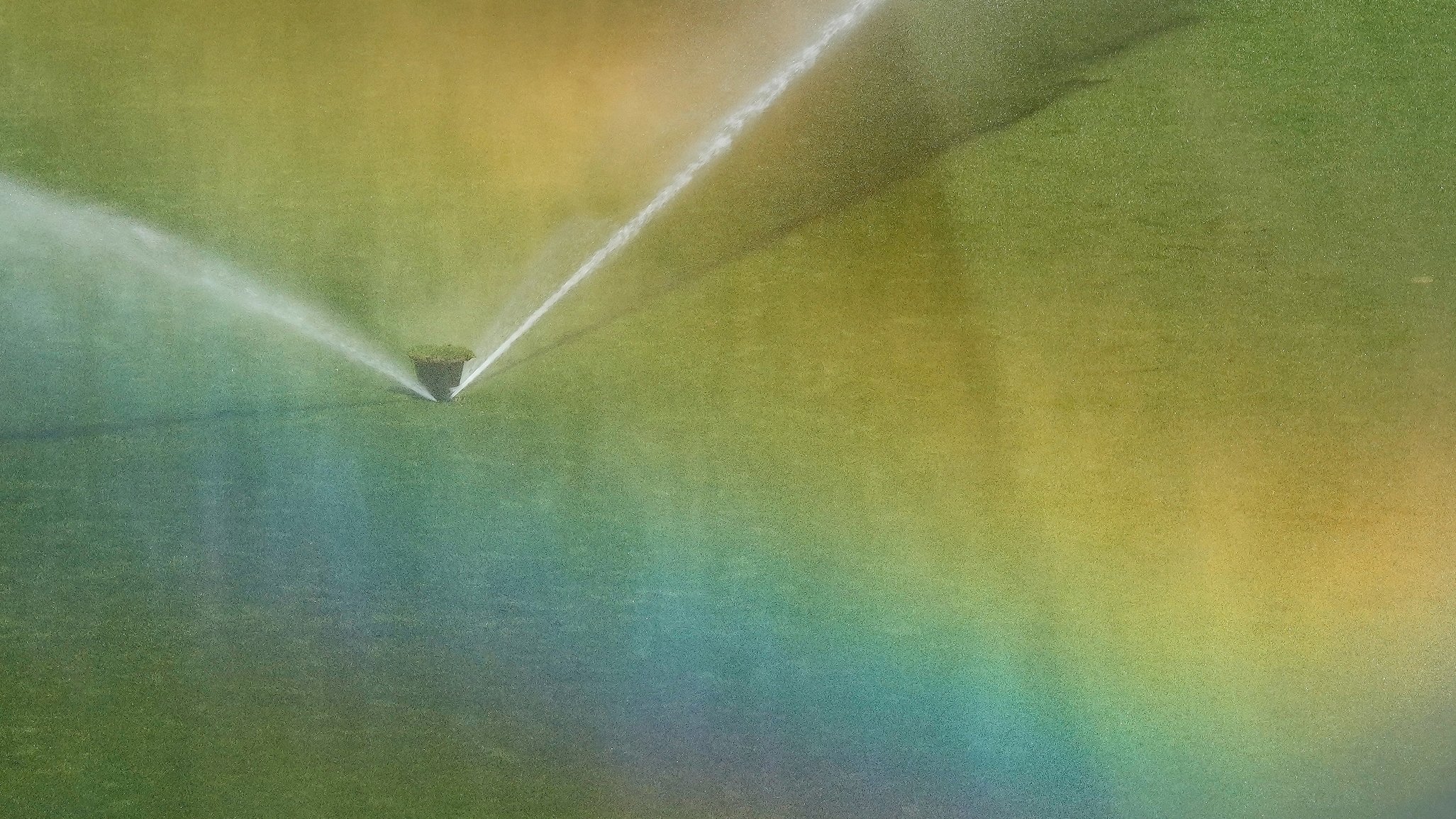 Die Bundesliga-Rasen-Meister 2025 stehen fest