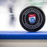 ICE-Playoffs: Die Ergebnisse der zweiten Viertelfinal-Partien