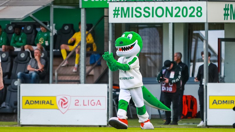 Zukunft des <a href='/de/daten/news/fussball/dsv-leoben/' class='tag'>DSV Leoben</a> vorerst gesichert