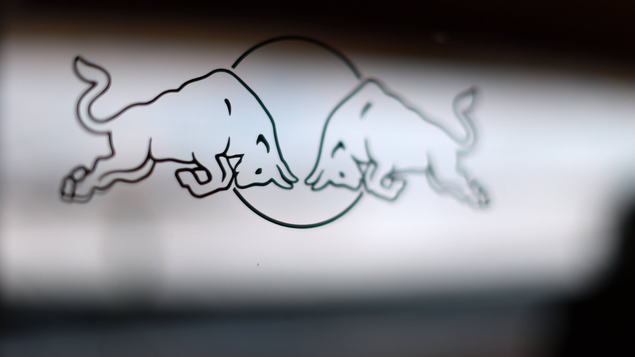 Neue Sportart! Red Bull übernimmt englisches Rugbyteam