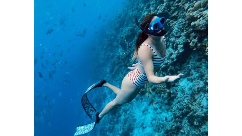 Die Sommerbilder der Ski-Stars