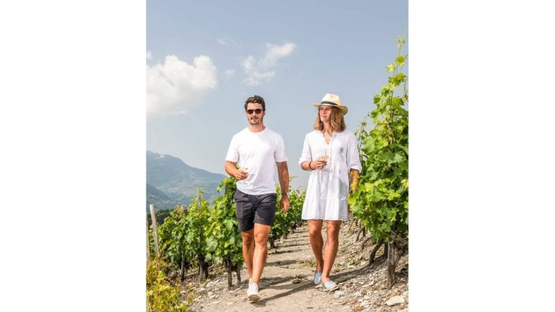 Die Sommerbilder der Ski-Stars