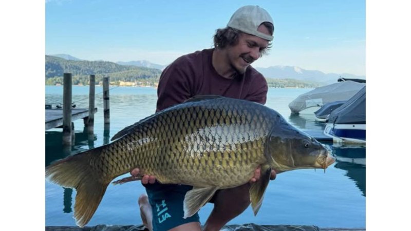 Die Sommerbilder der Ski-Stars