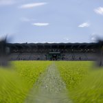 Grippewelle! Auch WSG-Testspiel fällt aus