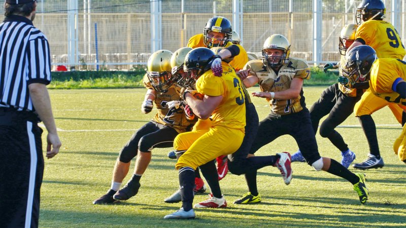 Die wachsende Beliebtheit von Fantasy-Sport-Seiten im Netz