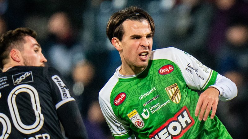 Die 25 denkwürdigsten Ungarn der letzten 30 Bundesliga-Jahre