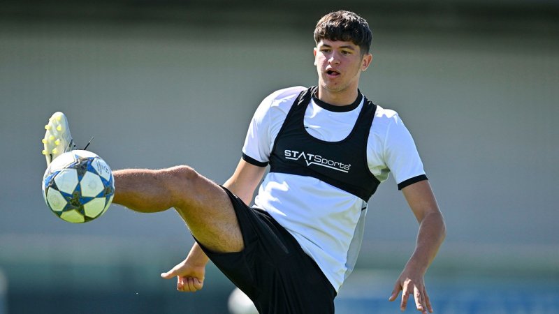 Bosnien muss gegen ÖFB-Team auf Sturm-Legionär verzichten