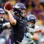 ELF-Finale: Vikings verpassen erneut den Titel