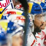 Saisonvorschau: Stürmen die "Eisbullen" erneut zum Titel?