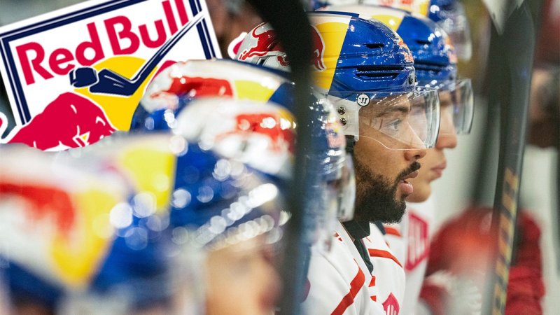 Saisonvorschau: Stürmen die "Eisbullen" erneut zum Titel?