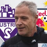 "Red Bull hat ein fußballverrücktes Bundesland gespaltet"