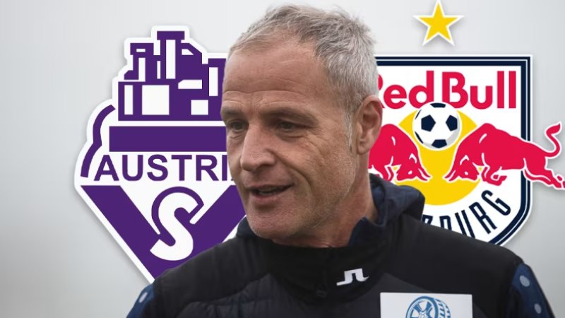 "Red Bull hat ein fußballverrücktes Bundesland gespaltet"