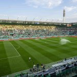 "Historischer Meilenstein": Rapid mit Mitglieder-Rekord