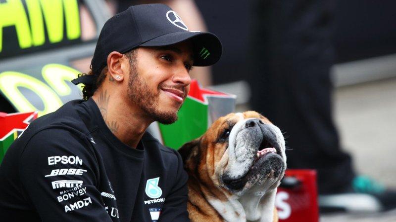 Lewis Hamilton trauert um Hund Roscoe
