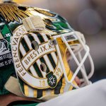 ICE-Neuling Ferencvaros: Die Mischung macht's - wie in der Küche