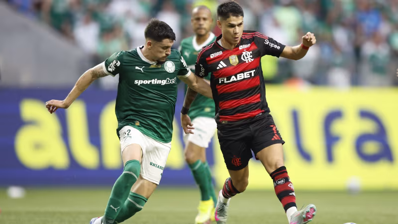 Palmeiras und Flamengo im Finale der Copa Libertadores