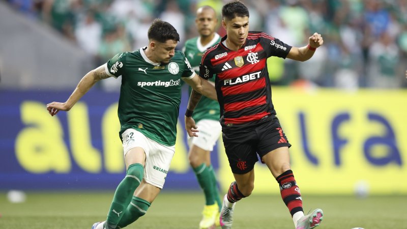 Palmeiras und Flamengo im Finale der Copa Libertadores