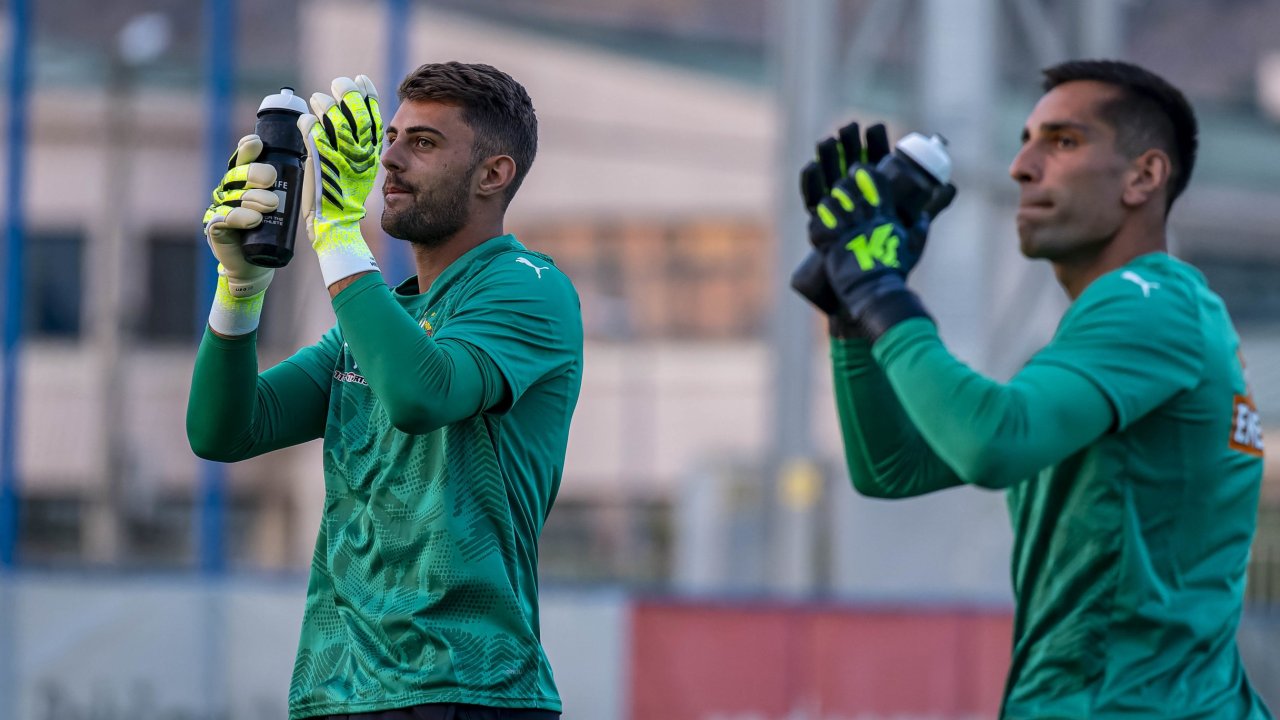 Bild für Gartler oder Hedl? Stöger legt sich vorerst fest