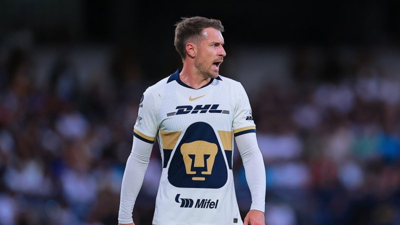 Ex-Arsenal-Star sucht vermissten Hund - Vertrag aufgelöst