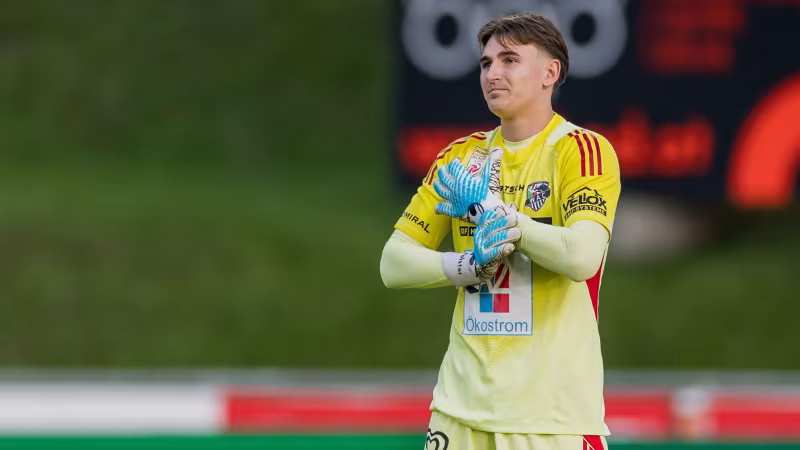 Kommt es zur Rückkehr von Nikolas Polster zu Rapid?