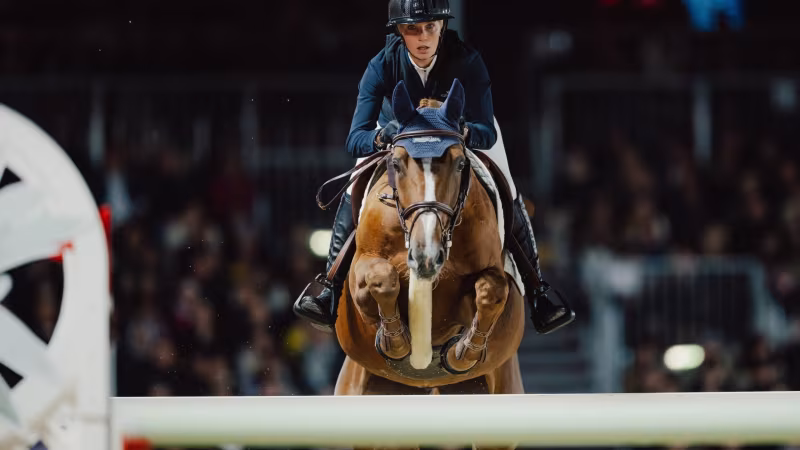 "Blut-Regel" im Pferdesport: Lockerung ab 2026