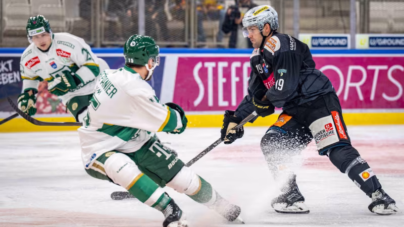ICE Hockey League heute: Konferenz u.a. mit Budapest - Capitals