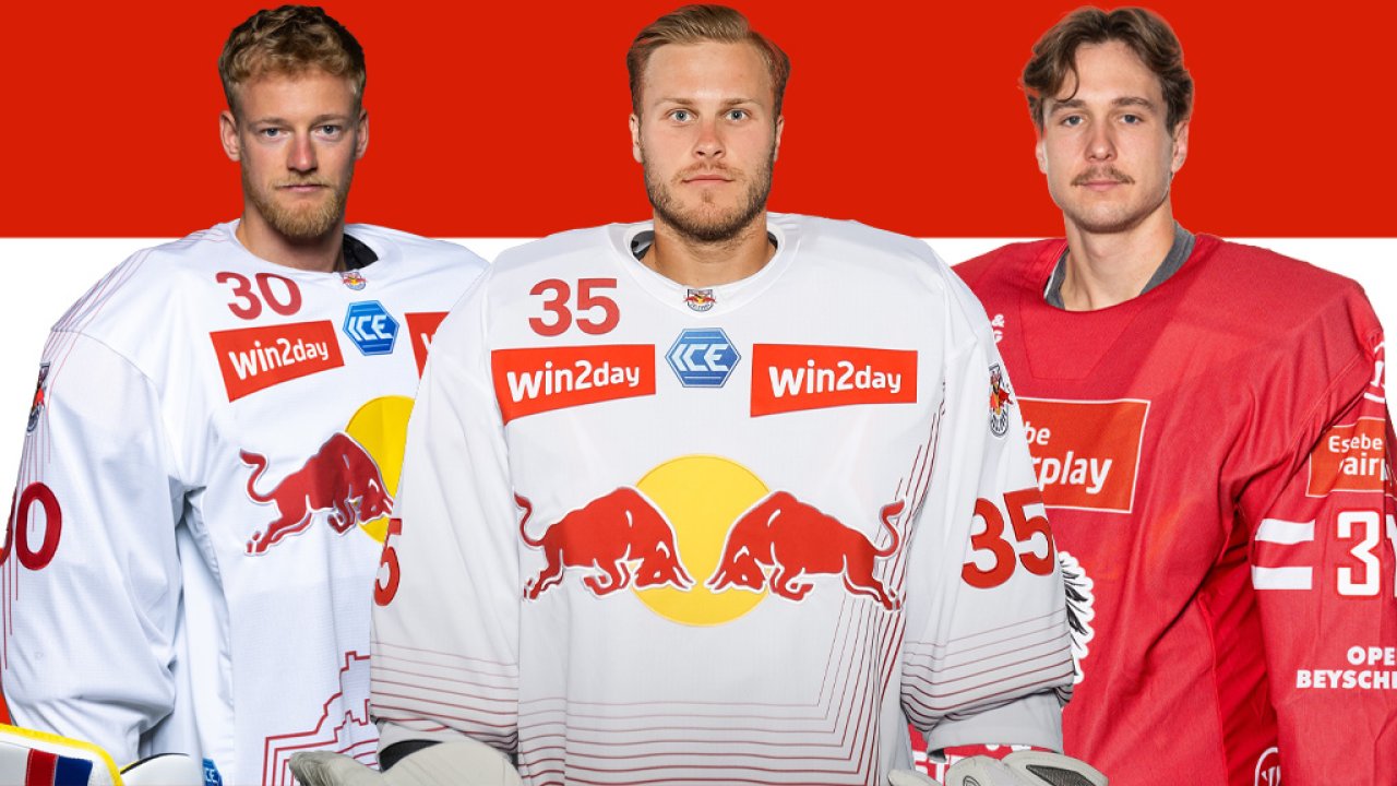 Bild für Reinhard Divis: Seine Einschätzung zu Österreichs Torhütern